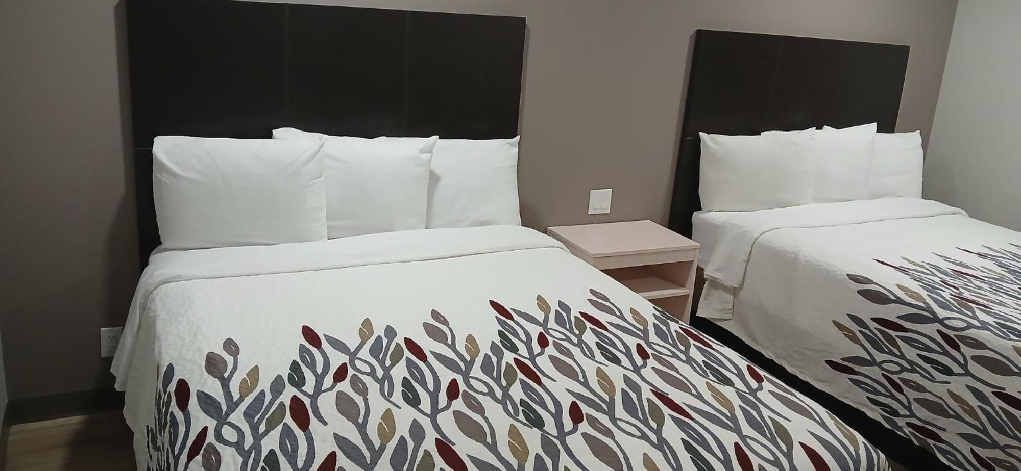 Red Roof Inn & Suites Euless - Dfw Airport Southwest Ngoại thất bức ảnh